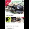 撒旦大兜蟲 （CBF1）超大型親代♂112mm L1-2三隻一組 NO.1