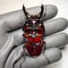 皇家大黑豔鍬形蟲 ♂65mm 成對 A