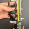 帝王扁鍬形蟲 ♂100mm 大型成對